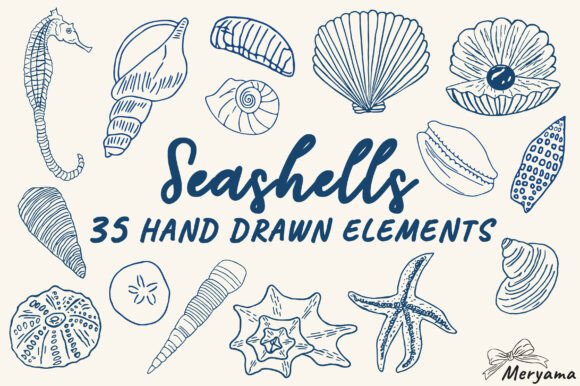 Hand Drawn Summer Seashell SVG PNG